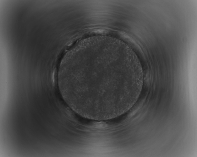 X0000094920424200712271536