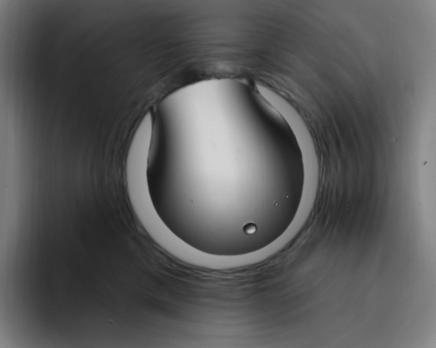 X0000094920425200712271536