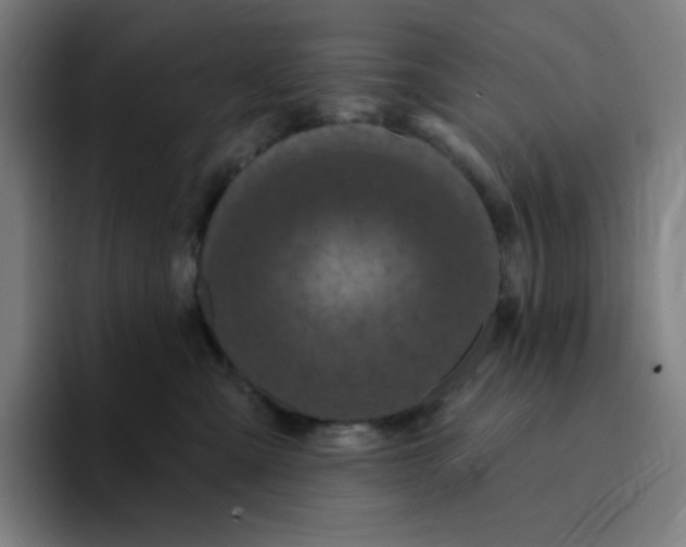 X0000094920427200712271536