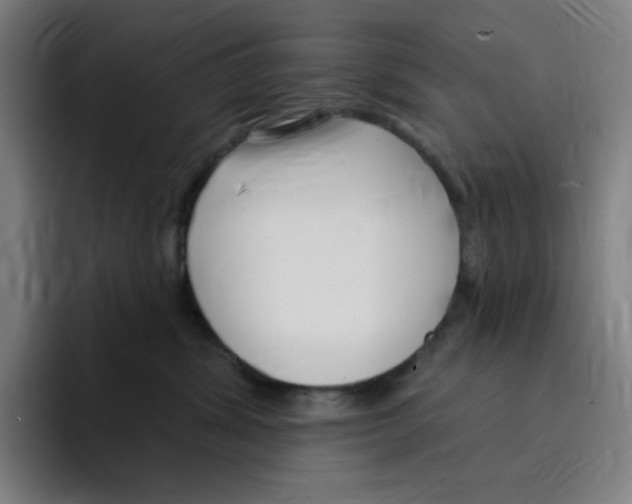 X0000094920428200712271536