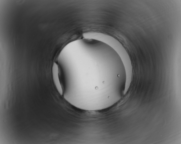 X0000094920429200712271536
