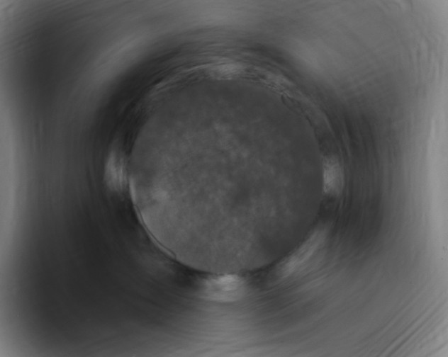 X0000094920431200712271536