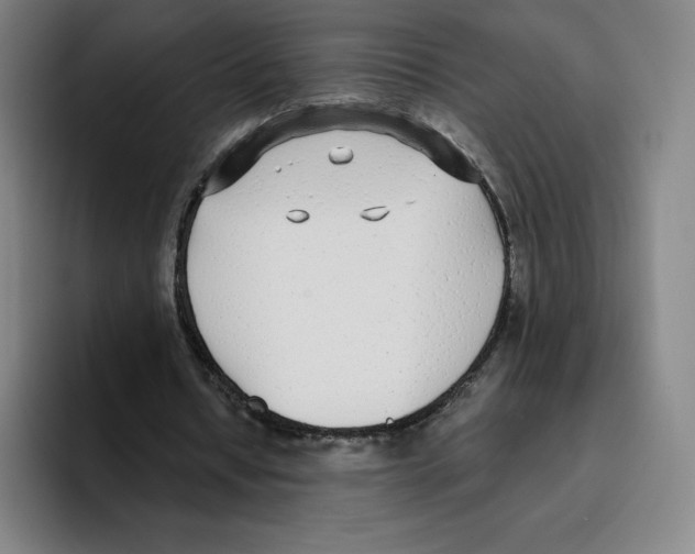 X0000094920434200712271536