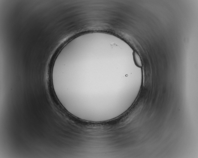 X0000094920435200712271536