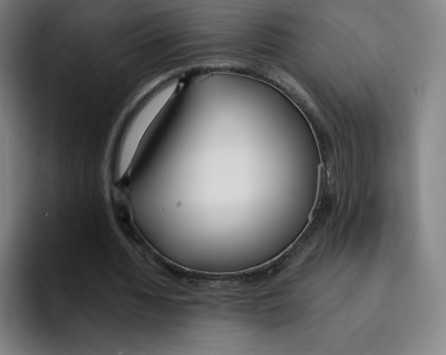 X0000094920436200712271536