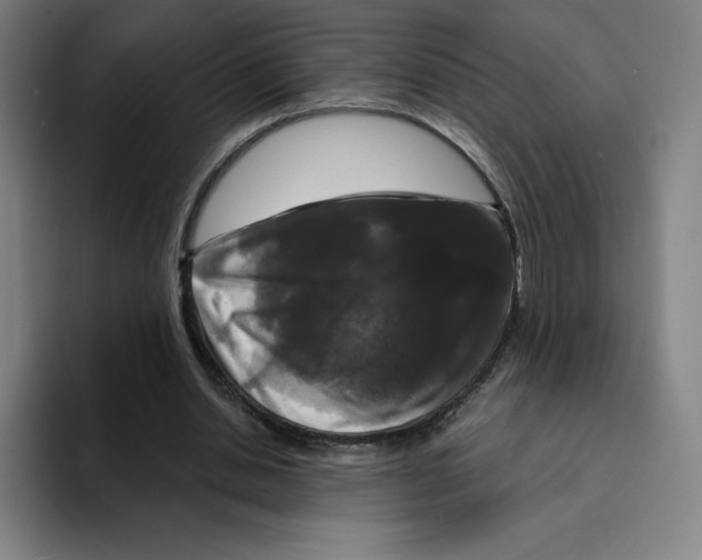 X0000094920438200712271536