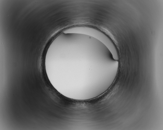 X0000094920439200712271536