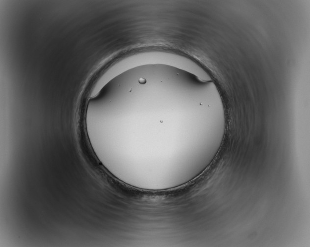 X0000094920440200712271536