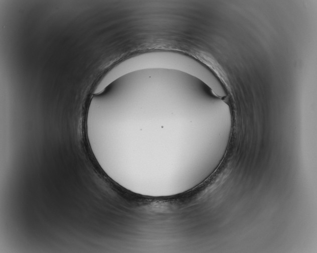 X0000094920441200712271536