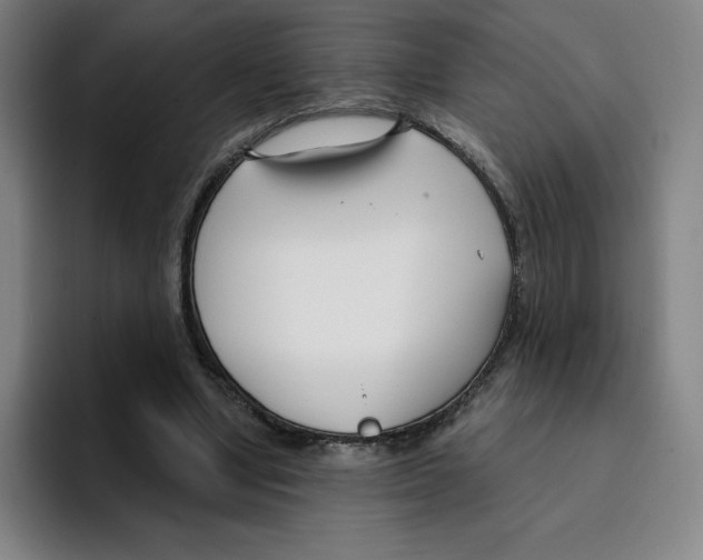 X0000094920442200712271536