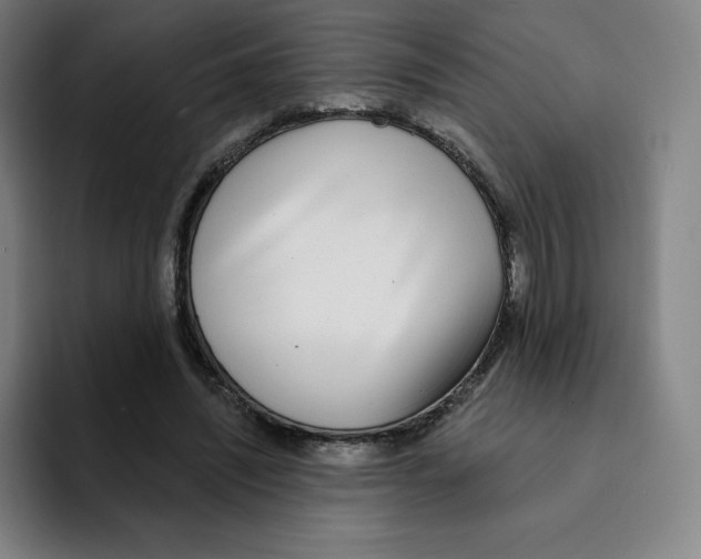 X0000094920444200712271536