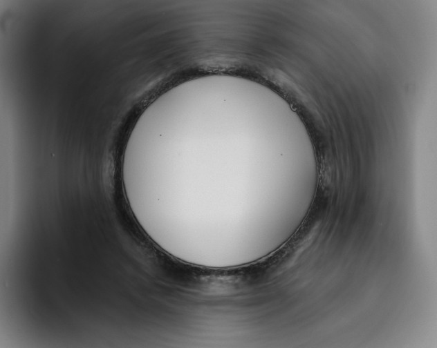 X0000094920448200712271536