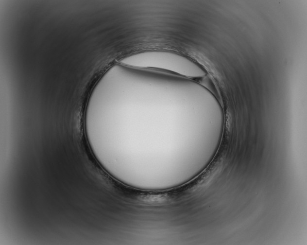 X0000094920449200712271536