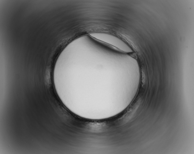 X0000094920453200712271536