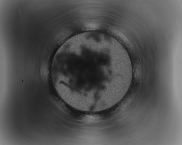 X0000094920455200712271536