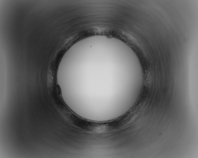 X0000094920456200712271536