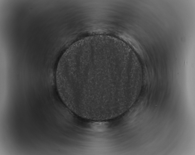X0000094920465200712271536