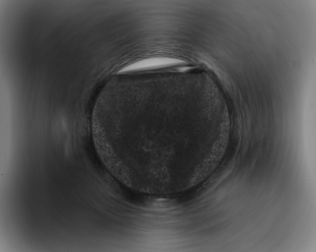 X0000094920467200712271536