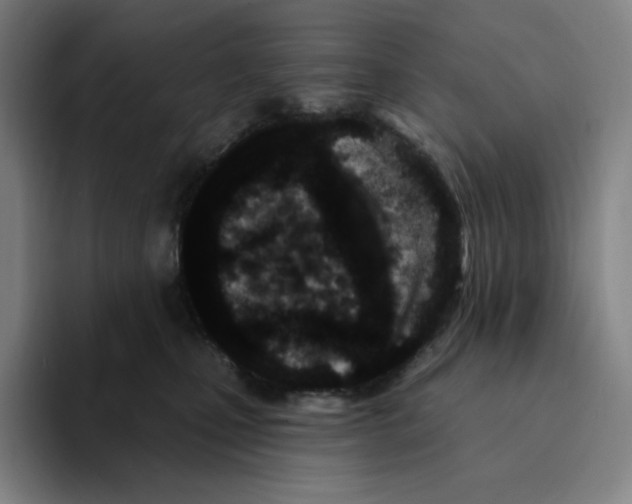 X0000094920471200712271536