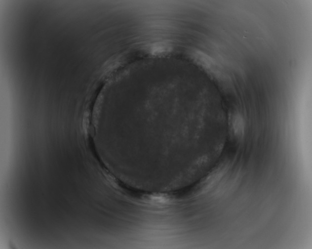 X0000094920475200712271536