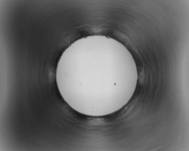 X0000094920476200712271536