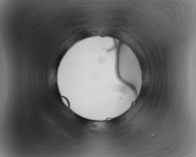 X0000094920478200712271536