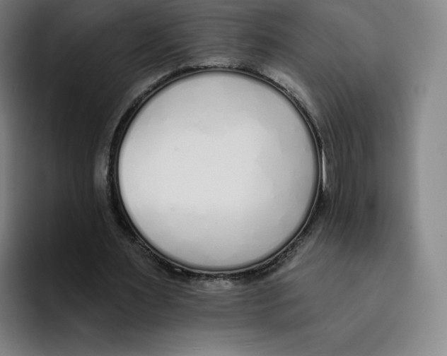 X0000094920483200712271536