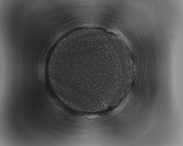 X0000094920484200712271536