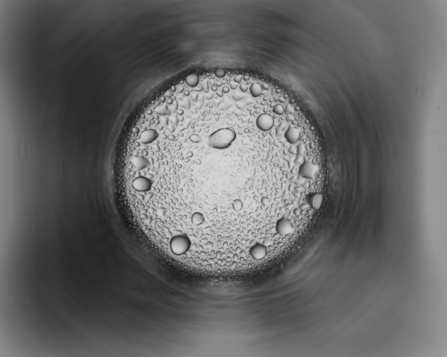 X0000094920487200712271536