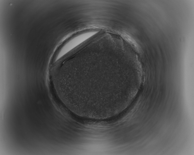 X0000094920488200712271535