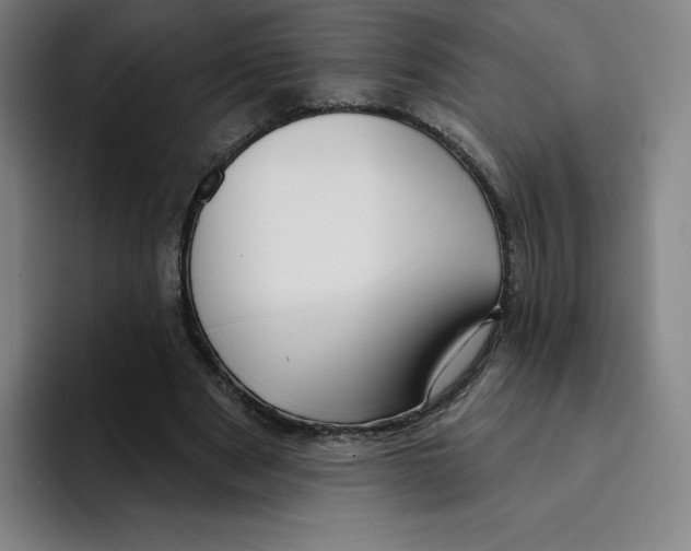 X0000094920489200712271535