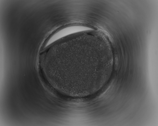 X0000094920492200712271535