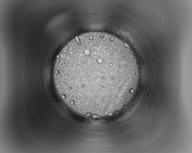 X0000094920495200712271535