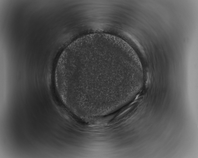 X0000094920496200712271535