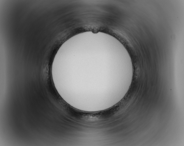 X0000094920498200712271535