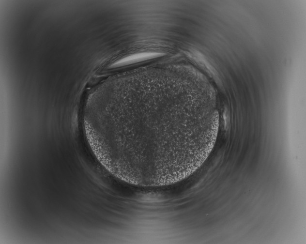 X0000094920500200712271535