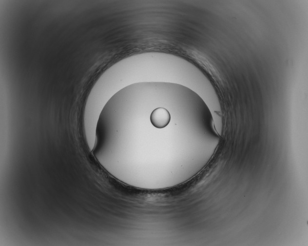 X0000094920501200712271535
