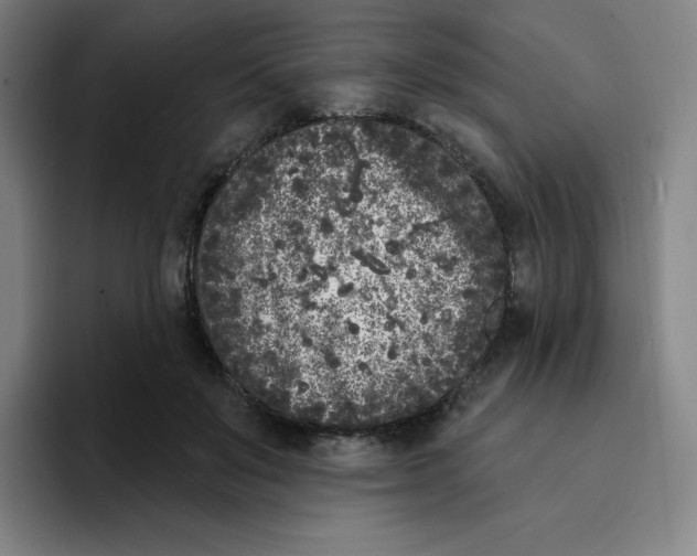 X0000094920503200712271535