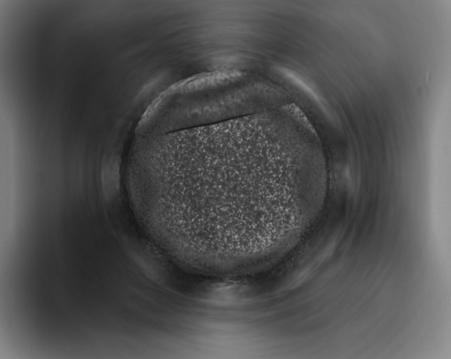 X0000094920504200712271535