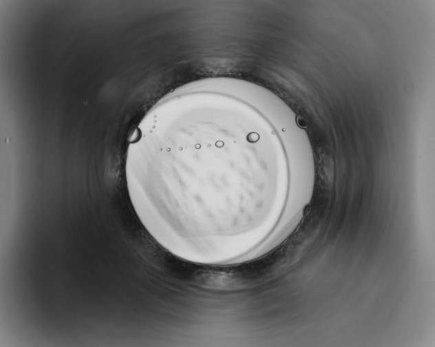 X0000094920507200712271535