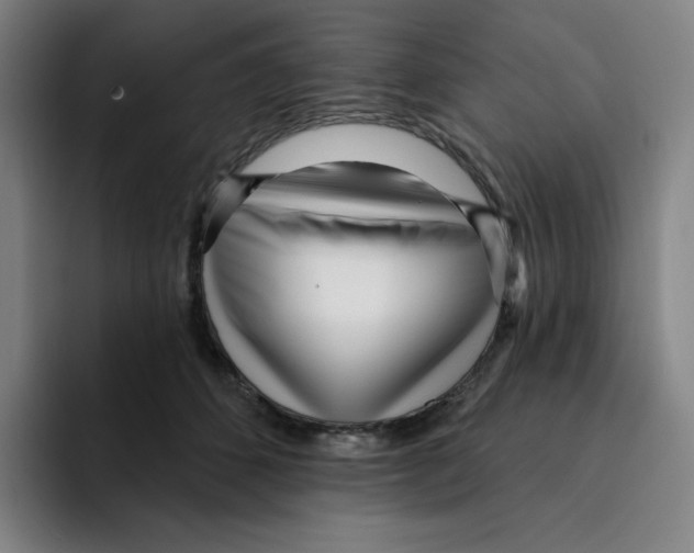 X0000094920512200712271535