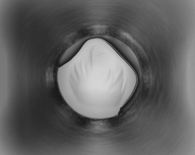 X0000094920516200712271535