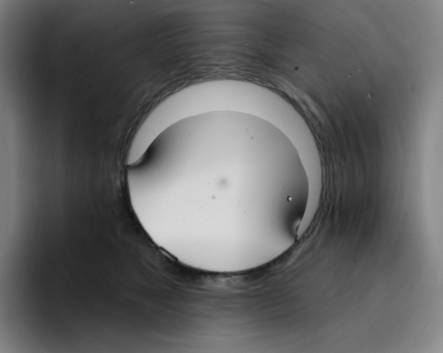 X0000094920517200712271535