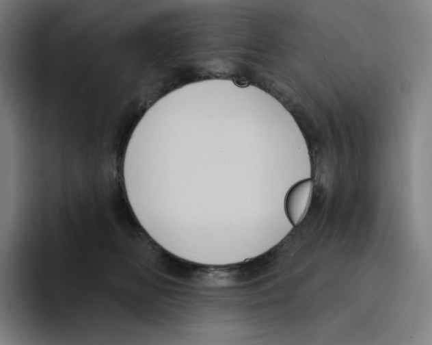 X0000094920518200712271535