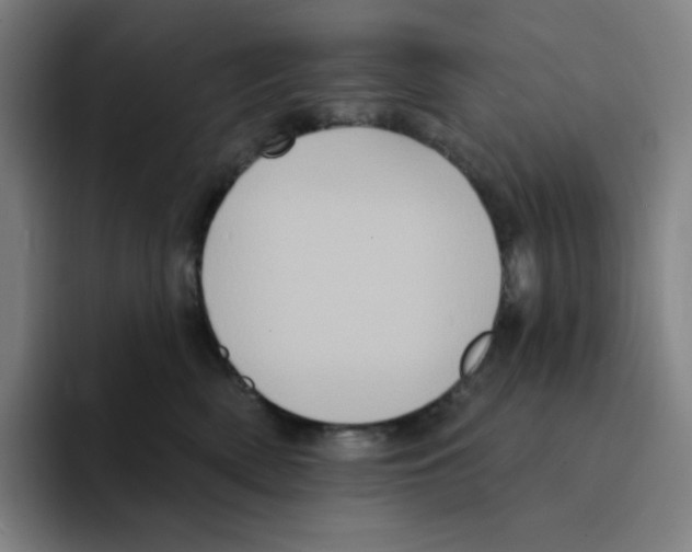 X0000094920522200712271535