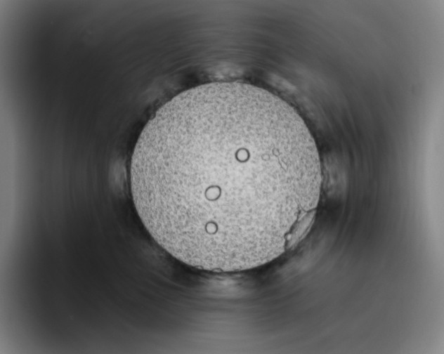 X0000094920523200712271535