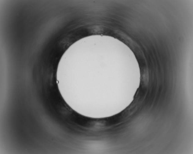 X0000094920525200712271535
