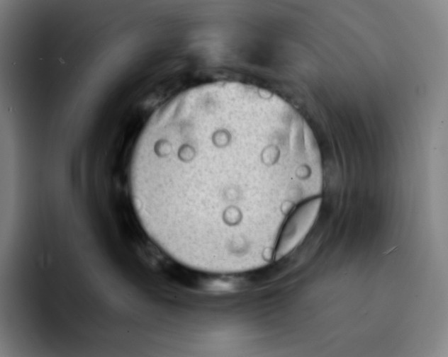 X0000094920527200712271535