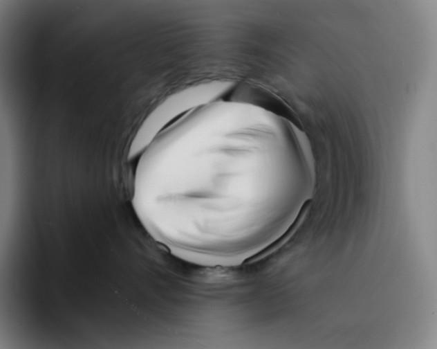 X0000094920528200712271535