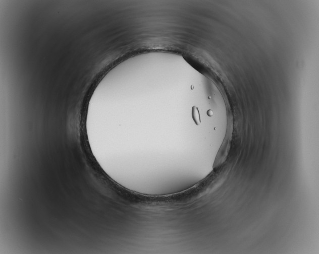 X0000094920530200712271534